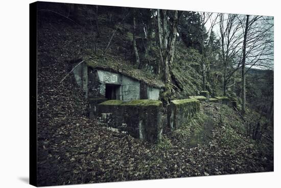 Remains of a bunker on mountain in a wood in winter in Alsace-Axel Killian-Stretched Canvas