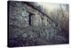 Remains of a bunker with door and windows at a mountain in a wood in winter in Alsace-Axel Killian-Premier Image Canvas