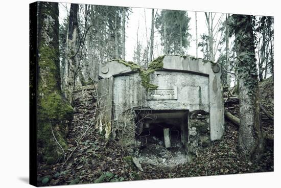 Remains of a defensive wall and a bunker on a mountain in a wood in winter in Alsace-Axel Killian-Stretched Canvas