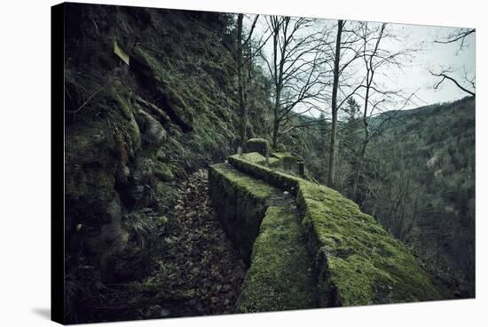 Remains of a wall and a bunker on a mountain in a wood in winter in Alsace-Axel Killian-Stretched Canvas
