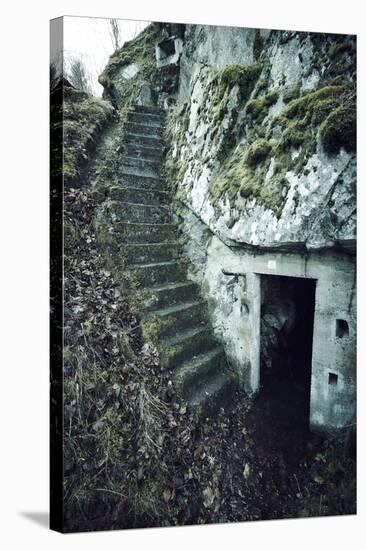 Remains of stairs and a bunker on a mountain in a wood in winter in Alsace-Axel Killian-Premier Image Canvas