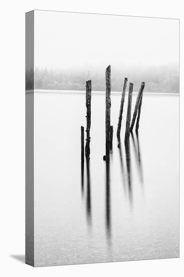 Remains of the old jetty, Derwentwater, Cumbria, UK-Nadia Isakova-Premier Image Canvas