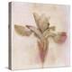 Remembered Flowers I-Judy Stalus-Premier Image Canvas