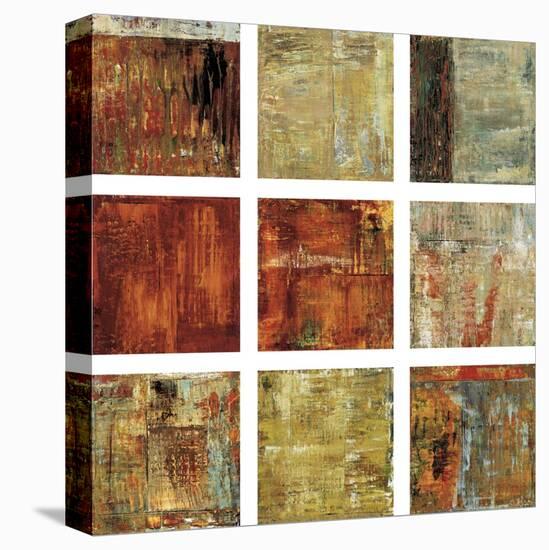 Remnants-Hilario Gutierrez-Stretched Canvas