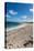 Remote White Sand Beach in Barbuda, Antigua and Barbuda, West Indies, Caribbean, Central America-Michael Runkel-Premier Image Canvas