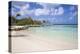 Renaissance Island, Oranjestad, Aruba, Lesser Antilles, Netherland Antilles-Jane Sweeney-Premier Image Canvas