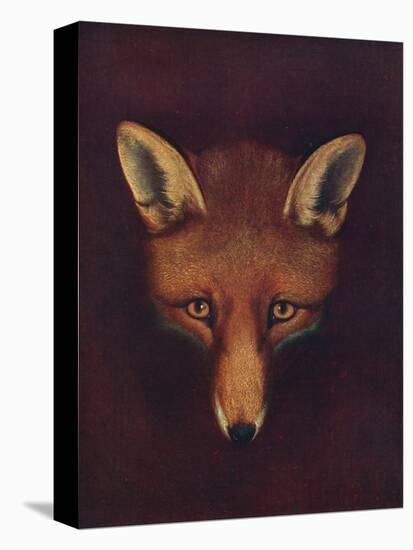 'Renard the Fox', c1800, (1922)-Philip Reinagle-Premier Image Canvas