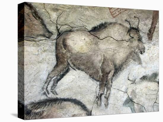 Replica of Cave Painting of Bison from Altamira Cave-null-Premier Image Canvas