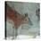 Replica of Cave Painting of Doe from Altamira Cave-null-Premier Image Canvas