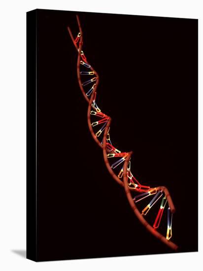 Representation of Segment of DNA Molecule Whose Order Spells Out Exact Set of Genetic Instructions-Fritz Goro-Premier Image Canvas