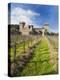 Reproduction of Italian Castle, Castello Di Amoroso Winery, Calistoga, Napa Valley, California, Usa-Walter Bibikow-Premier Image Canvas