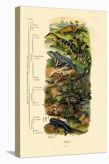 Reptiles, 1833-39-null-Premier Image Canvas