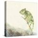 Reptilian IV-Alicia Ludwig-Stretched Canvas