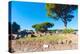 Republican temple, Ostia Antica archaeological site, Ostia, Rome province, Latium (Lazio), Italy-Nico Tondini-Premier Image Canvas