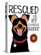 Rescued is my Favorite Breed-Ginger Oliphant-Stretched Canvas