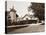 Residence of Mr. Howard, San Mateo, California, with Olive Tree, 1863-1880-Carleton Watkins-Stretched Canvas