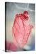 Resin Cast of Heart Blood Vessels-Arno Massee-Premier Image Canvas