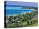 Resort Huts Beside Coral Sand Beach, Fiji, South Pacific Islands-Anthony Waltham-Premier Image Canvas