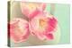Resplendent Blossoms-Sarah Gardner-Premier Image Canvas