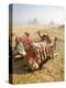 Resting Camels Gaze Across the Desert Sands of Giza, Cairo, Egypt-Dave Bartruff-Premier Image Canvas