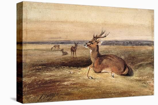 Resting Deer-Antoine Louis Barye-Premier Image Canvas