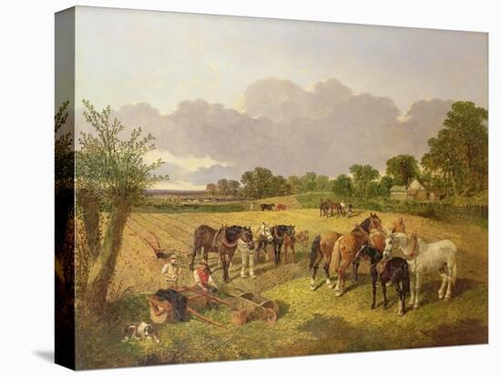 Resting Plough Team-John Frederick Herring I-Premier Image Canvas