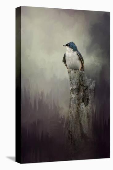 Resting Tree Swallow-Jai Johnson-Premier Image Canvas