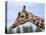 Reticulated Giraffe (Giraffa Camelopardalis Reticulata), Captive, Native to East Africa, Africa-Steve & Ann Toon-Premier Image Canvas