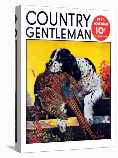 "Retriever with Pheasant," Country Gentleman Cover, November 1, 1934-J.F. Kernan-Premier Image Canvas