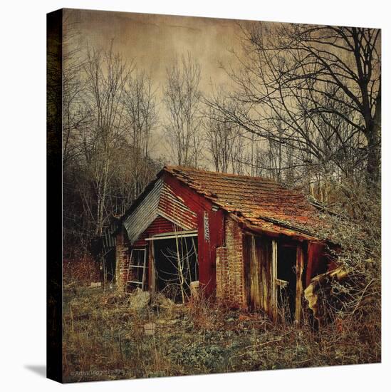 Retro Americana Farm Building-Salvatore Elia-Premier Image Canvas