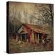 Retro Americana Farm Building-Salvatore Elia-Premier Image Canvas