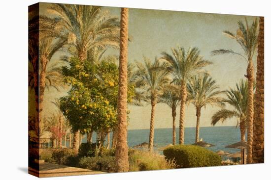 Retro Image Of Beach With Date Palms Amid The Blue Sea And Sky. Paper Texture-A_nella-Stretched Canvas