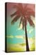 Retro Styled Hawaiian Palm Tree-Mr Doomits-Premier Image Canvas