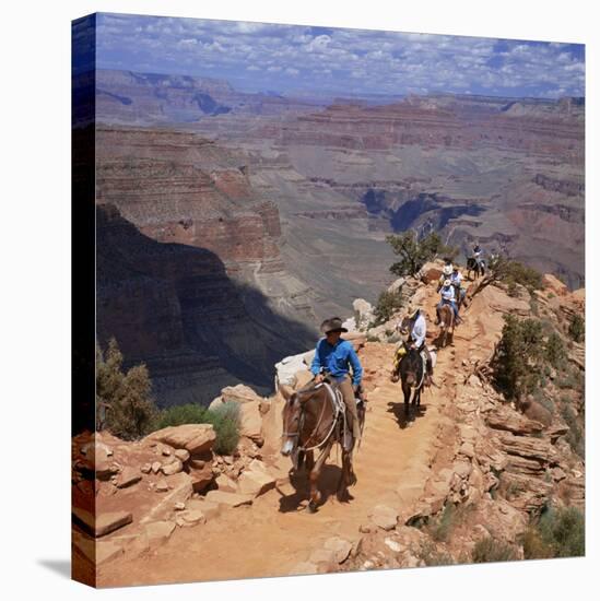 Returning on Horseback, Grand Canyon, UNESCO World Heritage Site, Arizona, USA-Tony Gervis-Premier Image Canvas