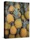 Reunion Island, St-Paul, Seafront Market, Pineapples-Walter Bibikow-Premier Image Canvas