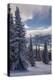 Revelstoke British Columbia, Canada, Snow covered evergreen trees-Howie Garber-Premier Image Canvas