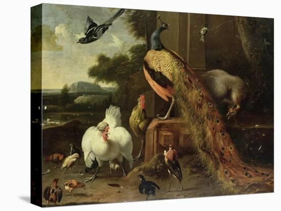 Revolt in the Poultry Coup-Melchior de Hondecoeter-Premier Image Canvas