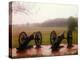 Revolutionary Cannons at Valley Forge-Henry Groskinsky-Premier Image Canvas