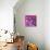 Revolver Pinks-Abstract Graffiti-Premier Image Canvas displayed on a wall