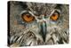 RF - Eagle owl (Bubo bubo) close-up of head. Captive, Netherlands. August.-Edwin Giesbers-Premier Image Canvas