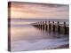 RF - Groyne/sea defense at Dawlish Warren at dawn, South Devon, UK-Ross Hoddinott-Premier Image Canvas