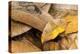 RF - Oak hook-tip moth mimicking a dead leaf, Catbrook, Monmouthshire, May-Chris Mattison-Premier Image Canvas