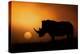 Rhino Sunrise-Mario Moreno-Premier Image Canvas