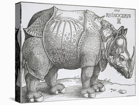 Rhinoceros, 1515-Albrecht Durer-Stretched Canvas