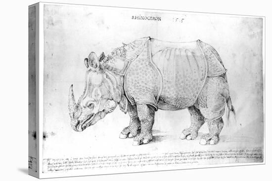Rhinoceros, 1515-Albrecht Dürer-Premier Image Canvas