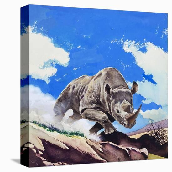 Rhinoceros, 1962-English School-Premier Image Canvas