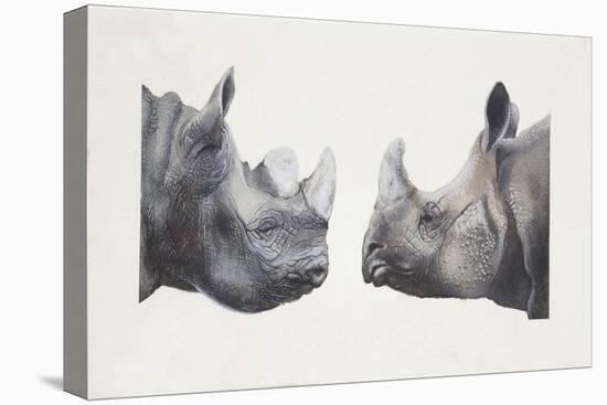 Rhinoceros Heads, Black Rhinoceros (Diceros Bicornis) and Rhinoceros (Genus)-null-Premier Image Canvas