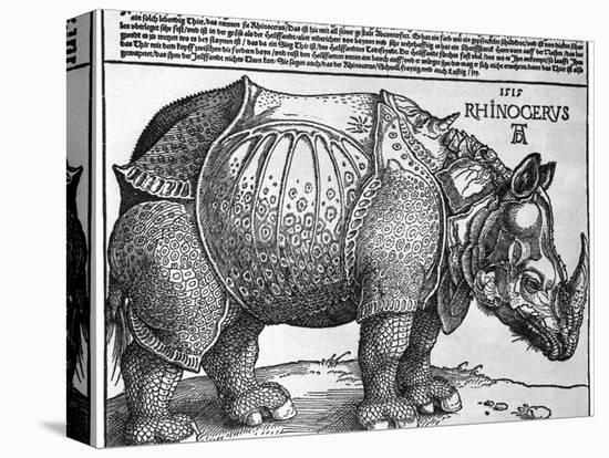 Rhinoceros, Print Given to Maximilian I by the King of Lisbon, 1515-Albrecht Durer-Premier Image Canvas