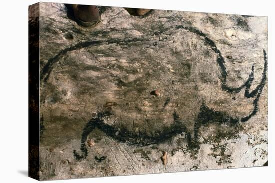 Rhinoceros, Upper Paleolithic-null-Premier Image Canvas