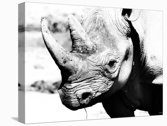 Rhinoceros-Gordon Semmens-Premier Image Canvas